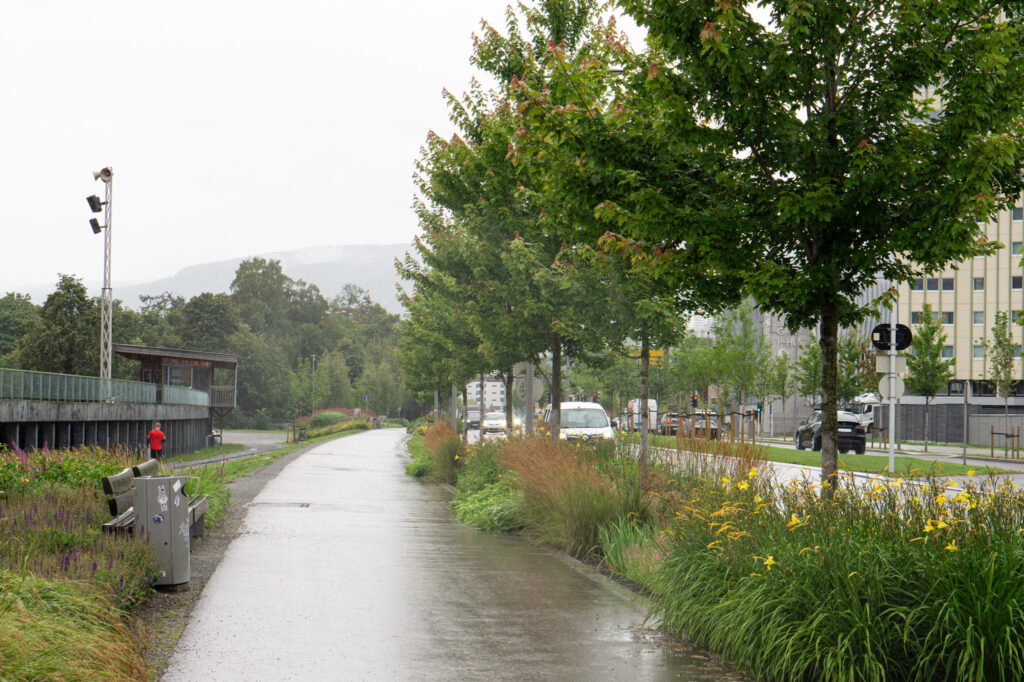 Regnbed med planter og trær mellom gangvei og veibane. Foto.